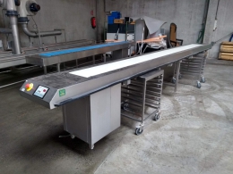 conveyor belt 5.5 meter